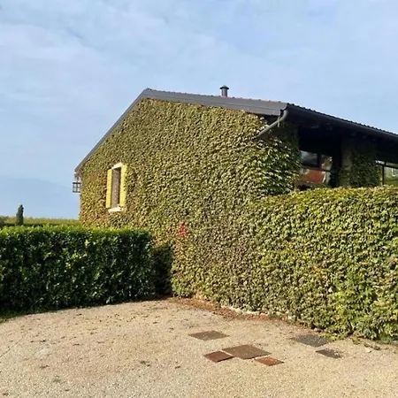 Ca' Del Buso Holiday home